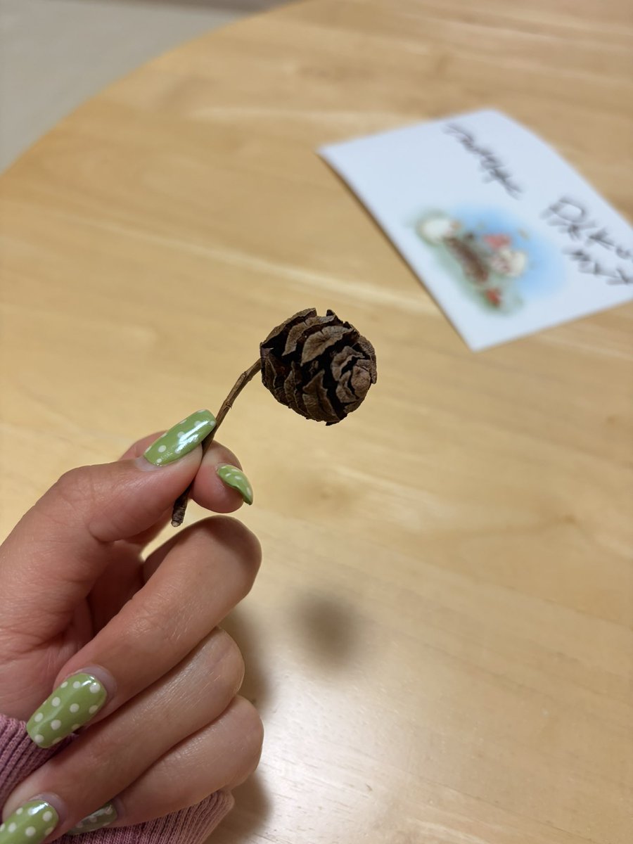 なみ🎀 tweet media