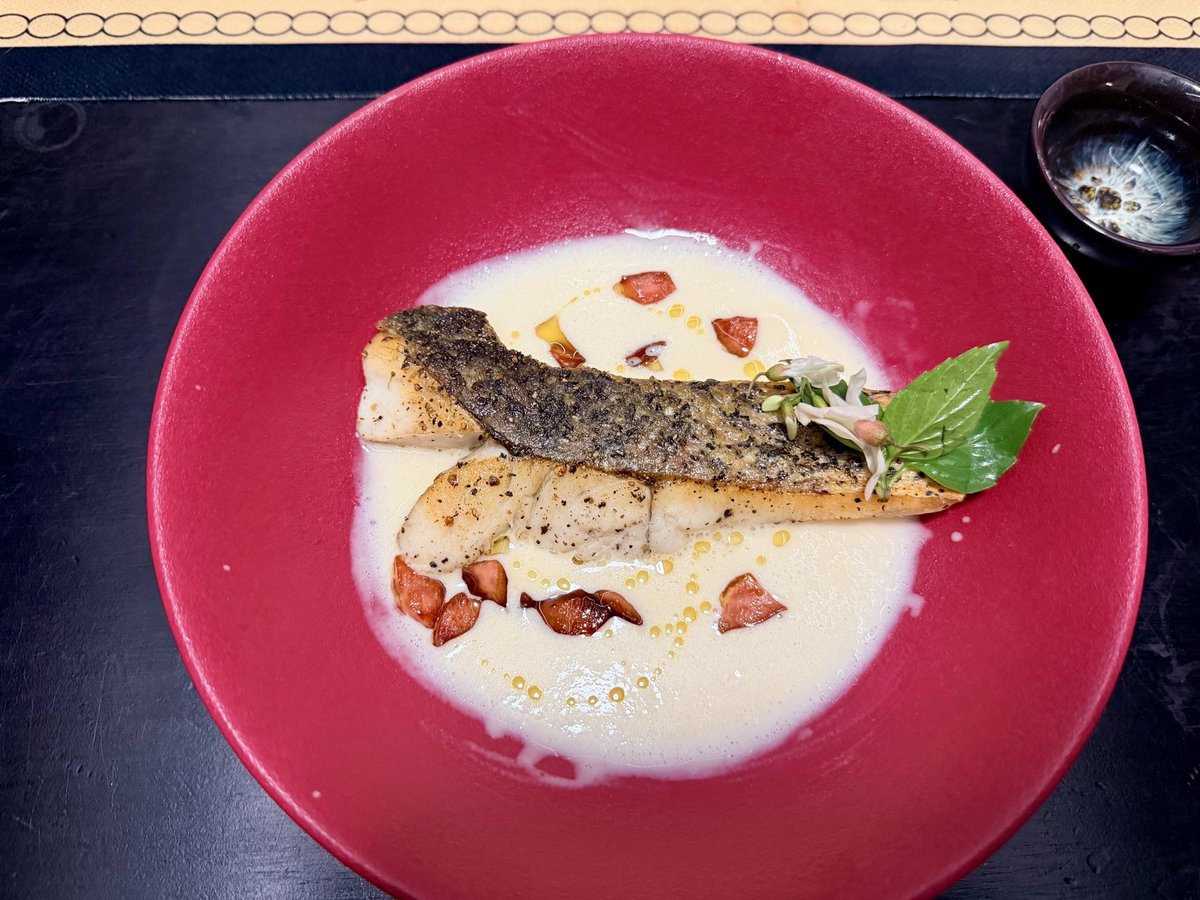 Joshua’ cat tweet media