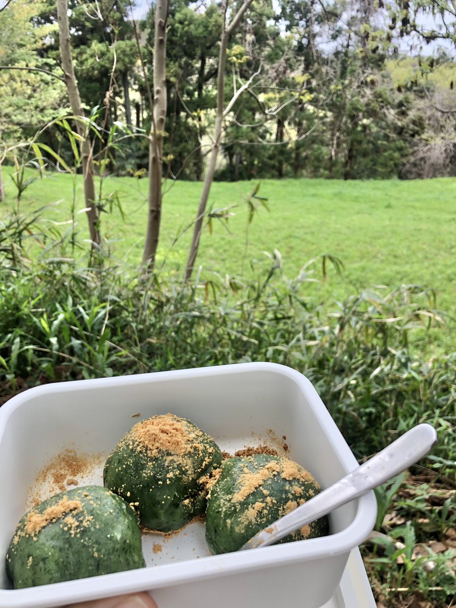 昨日こしらえた草餅を
ヨモギ摘んだ場所で食べる🌿