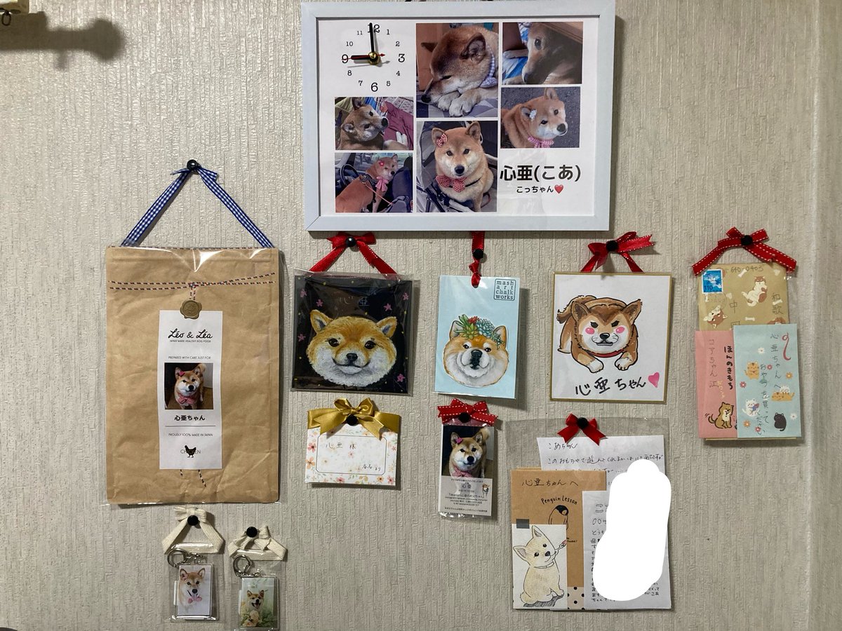 Takasan43228157's tweet image. 我が家の心亜の壁。ONAMAETOKEI社の時計をようやく壁にかけた。素晴らしいなぁ、こんなんが格安で作れるようになって☺️

instagram.com/onamaetokei_co…

#dogsofinstagram #心亜 #柴犬 #柴犬が好き過ぎるで使っていいよ #柴犬との暮らし #shibainu