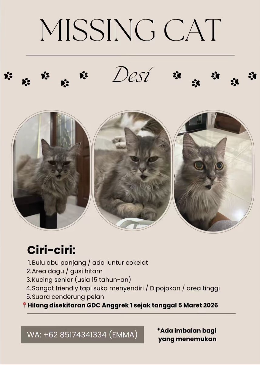 KochengFess REBORN | ON😻 tweet media