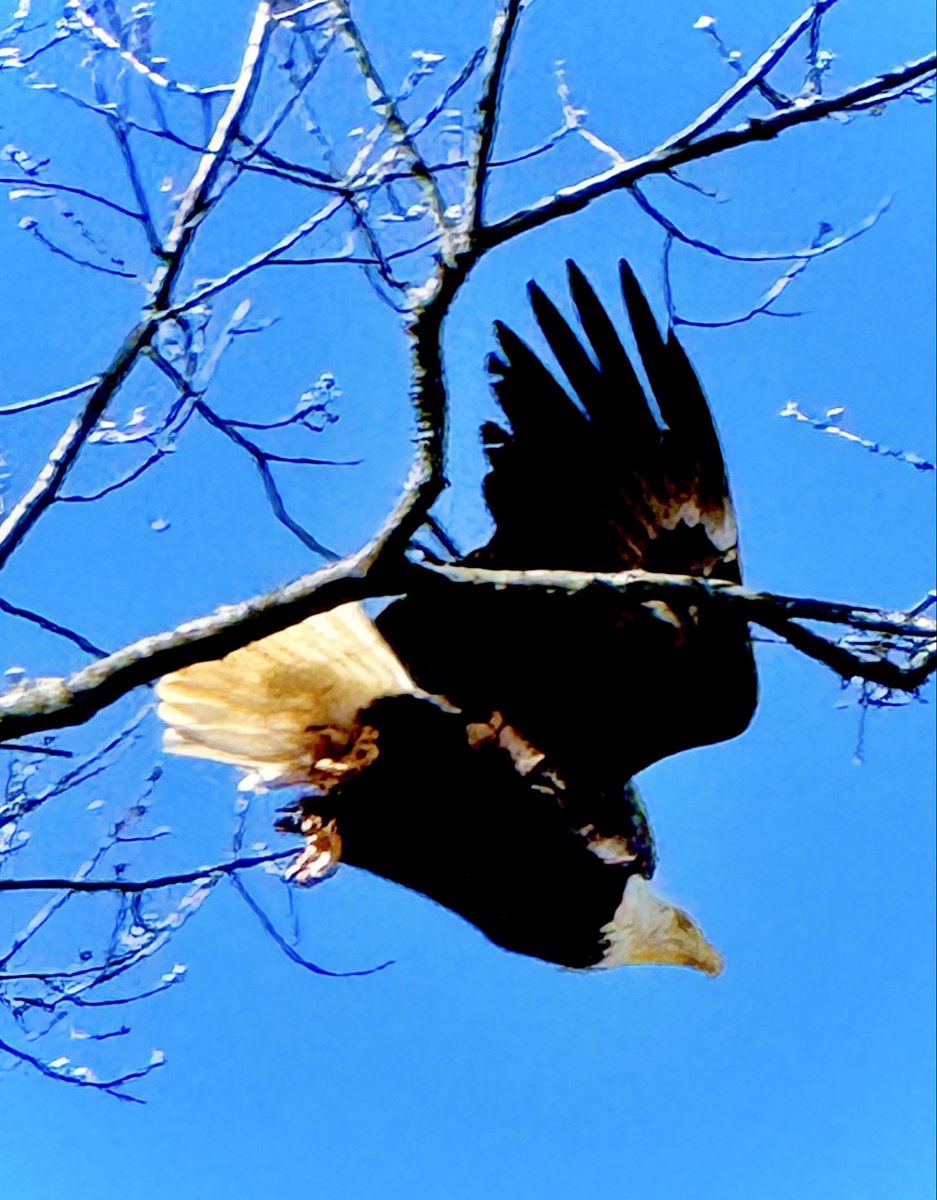 Rick Musk tweet media