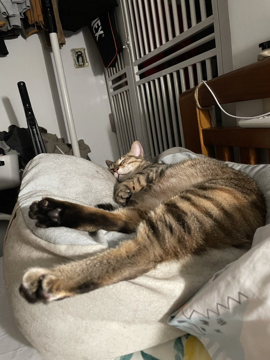 快樂僵屍 tweet media