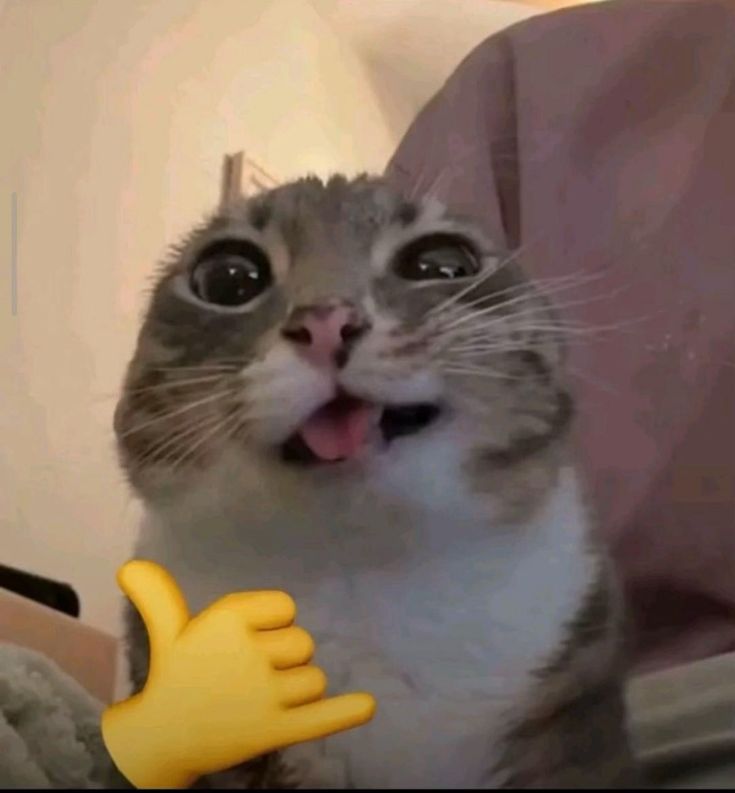 𝗧𝗮𝗸𝗲 𝗮 𝗣𝗲𝗲𝗸...👀 tweet media