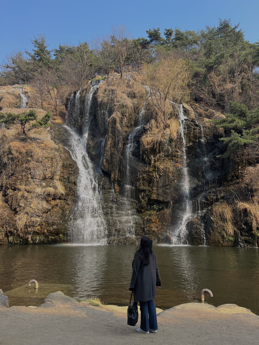 しょうがない tweet media