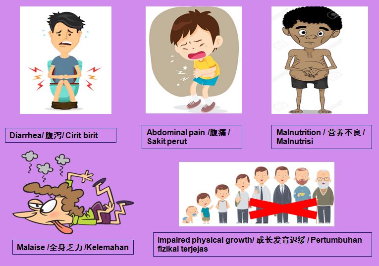文明2.0 梦 / Arisa tweet media