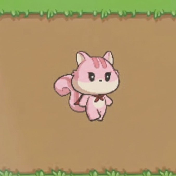 볼이🐈‍⬛ tweet media