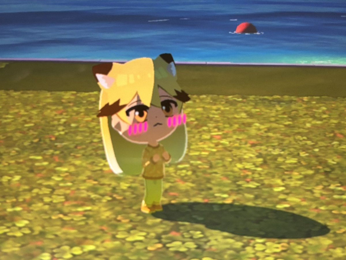 くもスズメ🐟名古屋フレチ tweet media