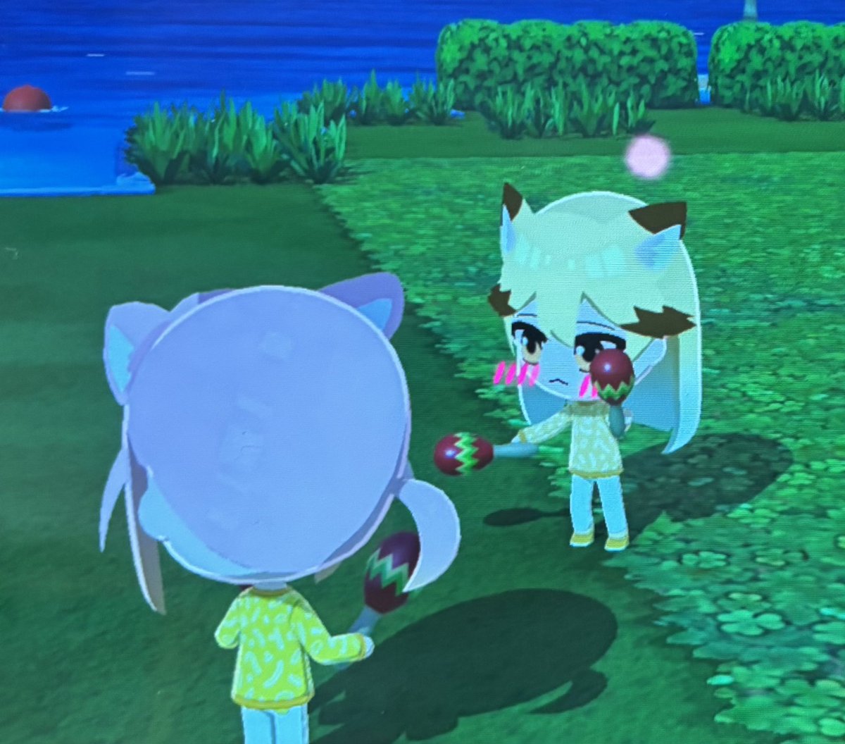 くもスズメ🐟名古屋フレチ tweet media