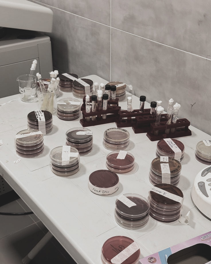 MAHARAMYA tweet media