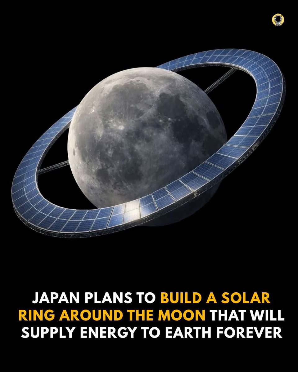 GRANDPA’s FREE ADVICE tweet media