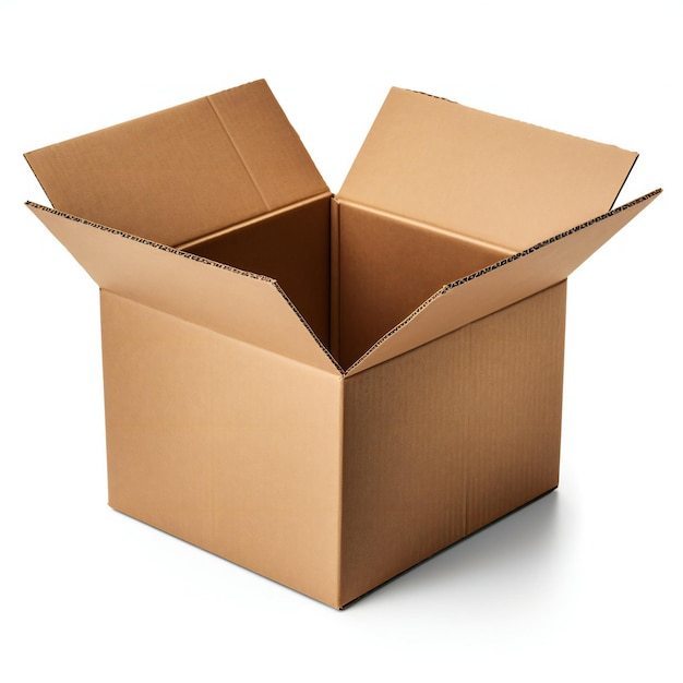 AnythingIndigo's tweet photo. Tiki shipped themselves in a box to Ohio https://t.co/a2pqeqUcL5