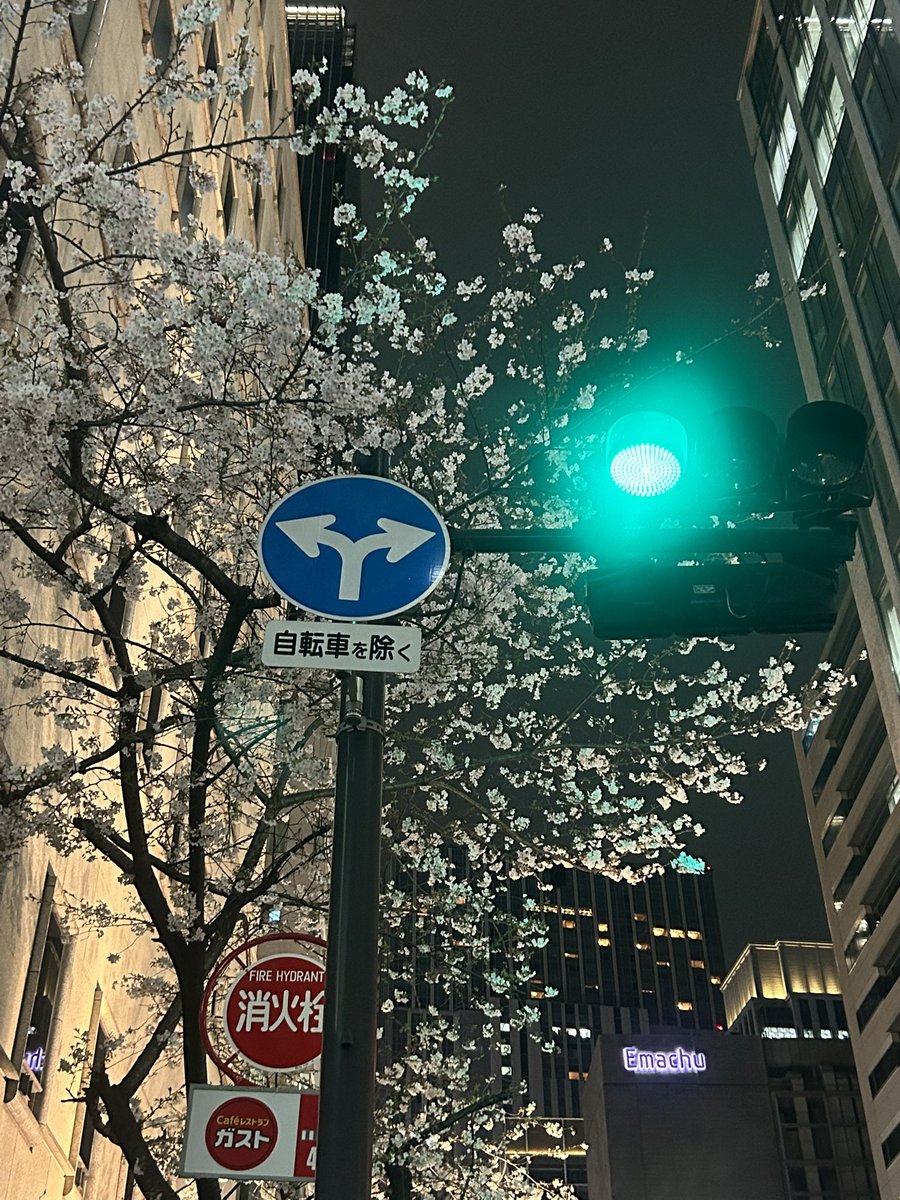 近藤 利紘 tweet media
