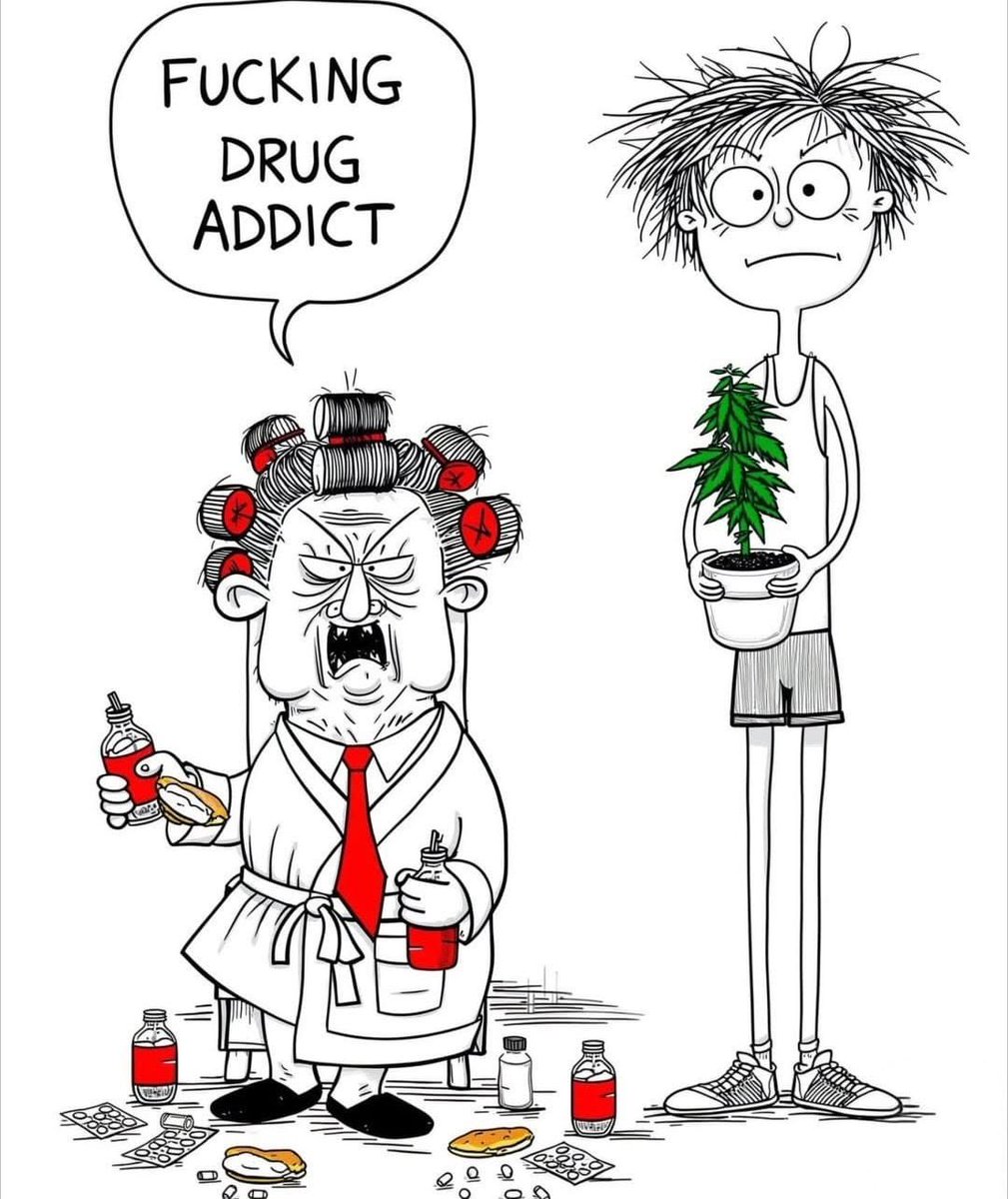 Sr. Weed tweet media