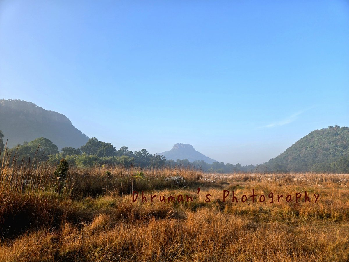 dhruman39's tweet image. Sharing a beautiful #photo I took with a #bluesky !!

#theme_pic_India_sky 
#DhrumanNimbalePhotography