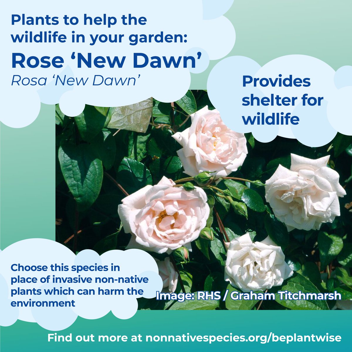 Invasive Species Week tweet media
