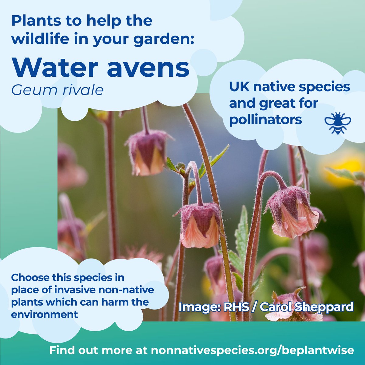 Invasive Species Week tweet media