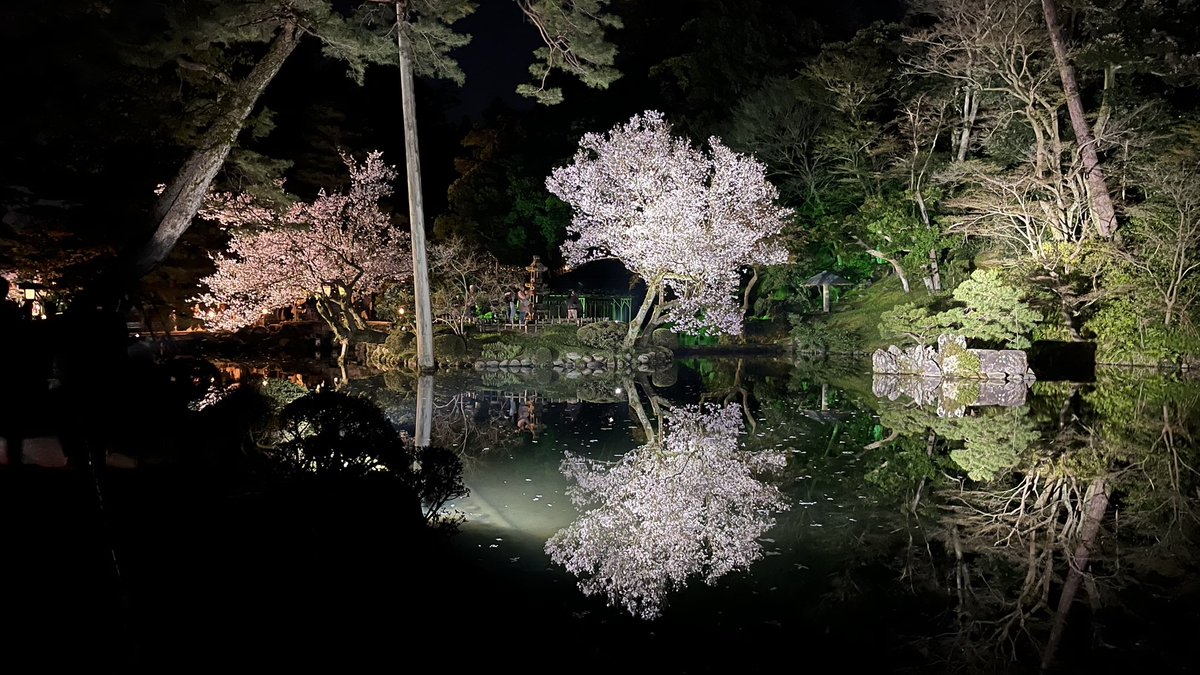 tarogon's tweet photo. 金沢出張81週目終了。
昨日の夜仕事が終わってから夜の散歩ついでに兼六園に行ってきました。桜の季節の無料開園期間最終日でした。
日中天気が良かったこともあり大勢の人で賑わっていて、人気スポットでは写真の撮影待ちまでありました。
明日は午後から青森に向かいます🥌
#金沢
#兼六園 https://t.co/TPgUGFgvGv
