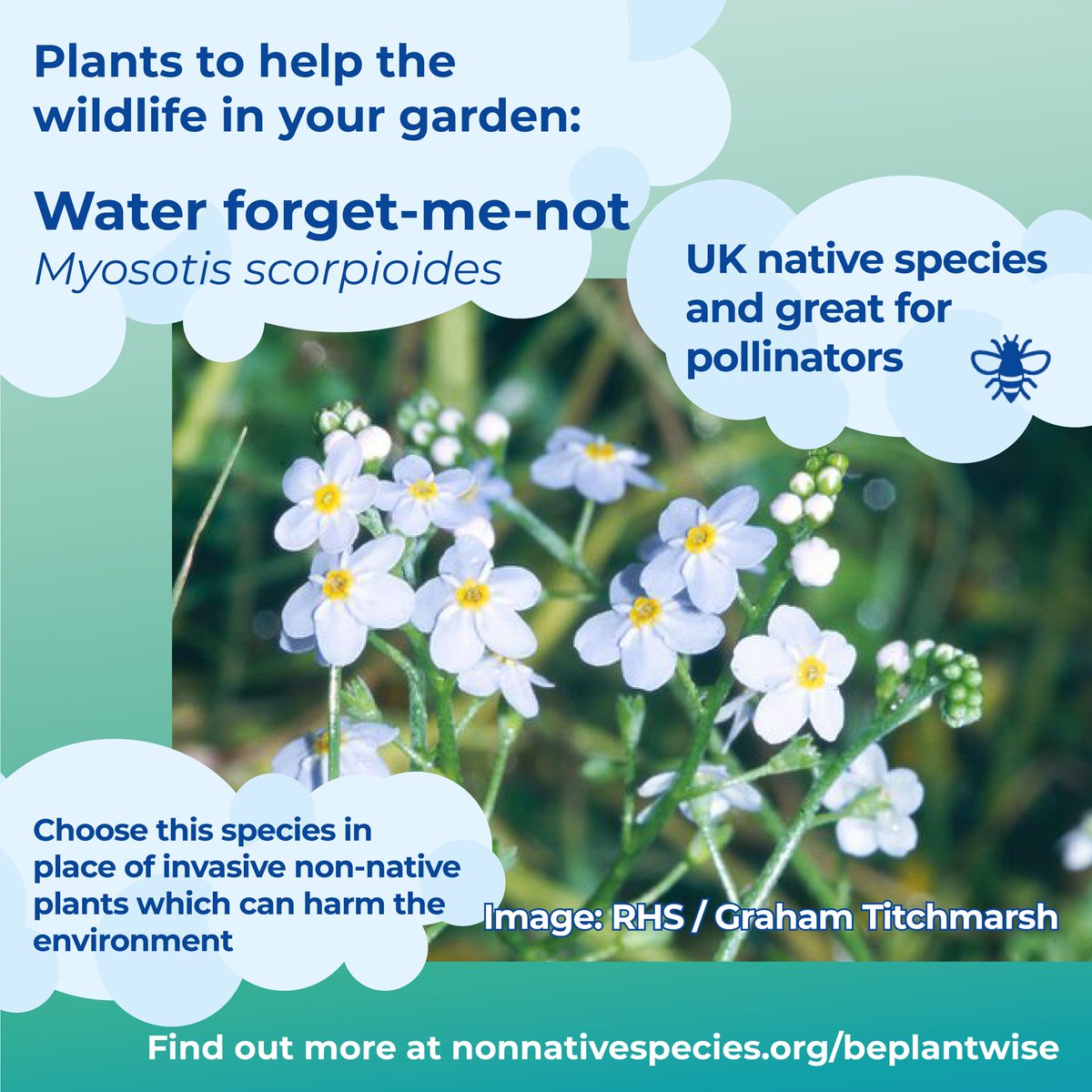 Invasive Species Week tweet media