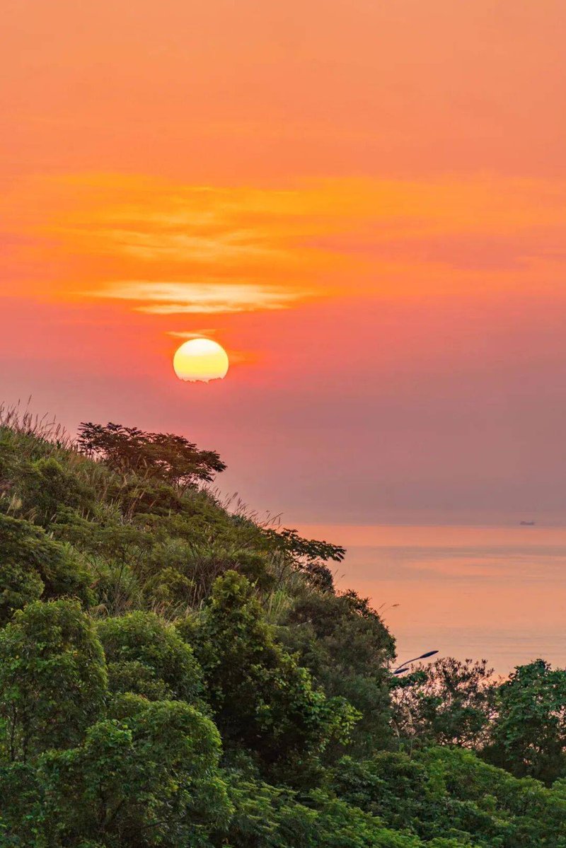 Gauche Marie charlotte tweet media