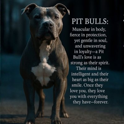 God Bless America tweet media