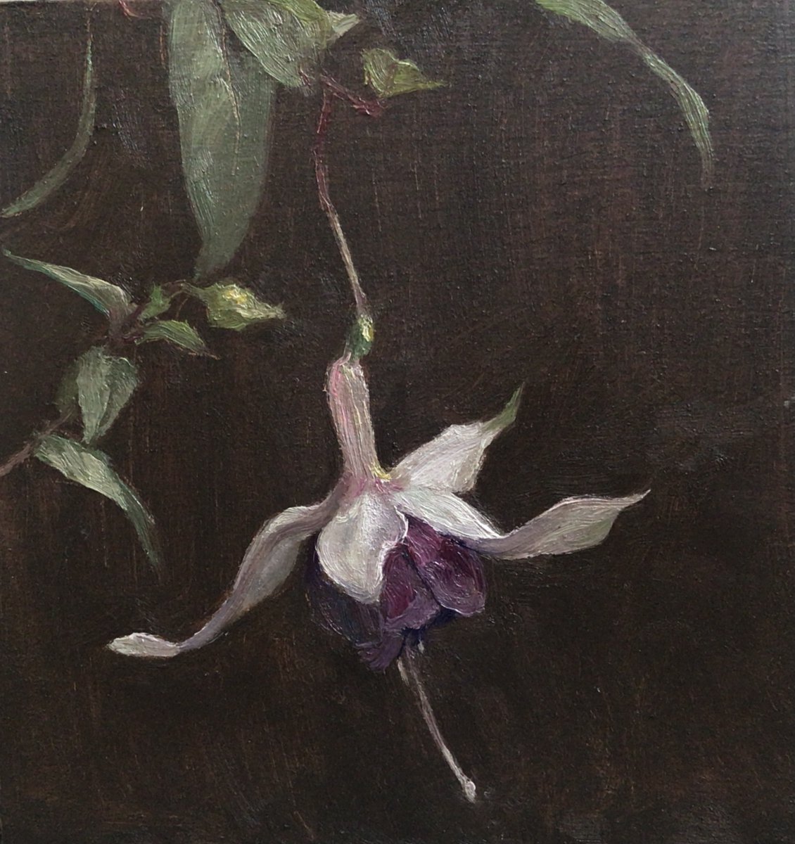 Matthew the Stoat tweet media