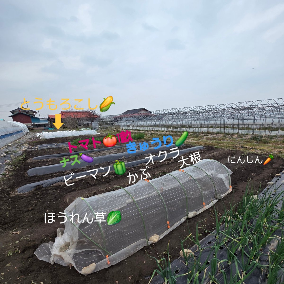 Roots7000's tweet photo. Instagram
メインよりサブの方が、活発。写真📷サブ。 https://t.co/Xb7wgm5IUT
