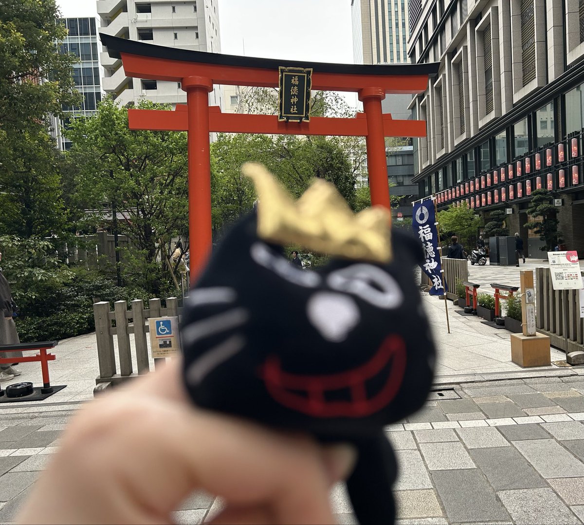 🌞あいちゃ🌞 tweet media