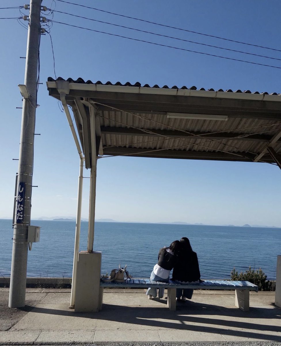 たつC🐳🍓 tweet media