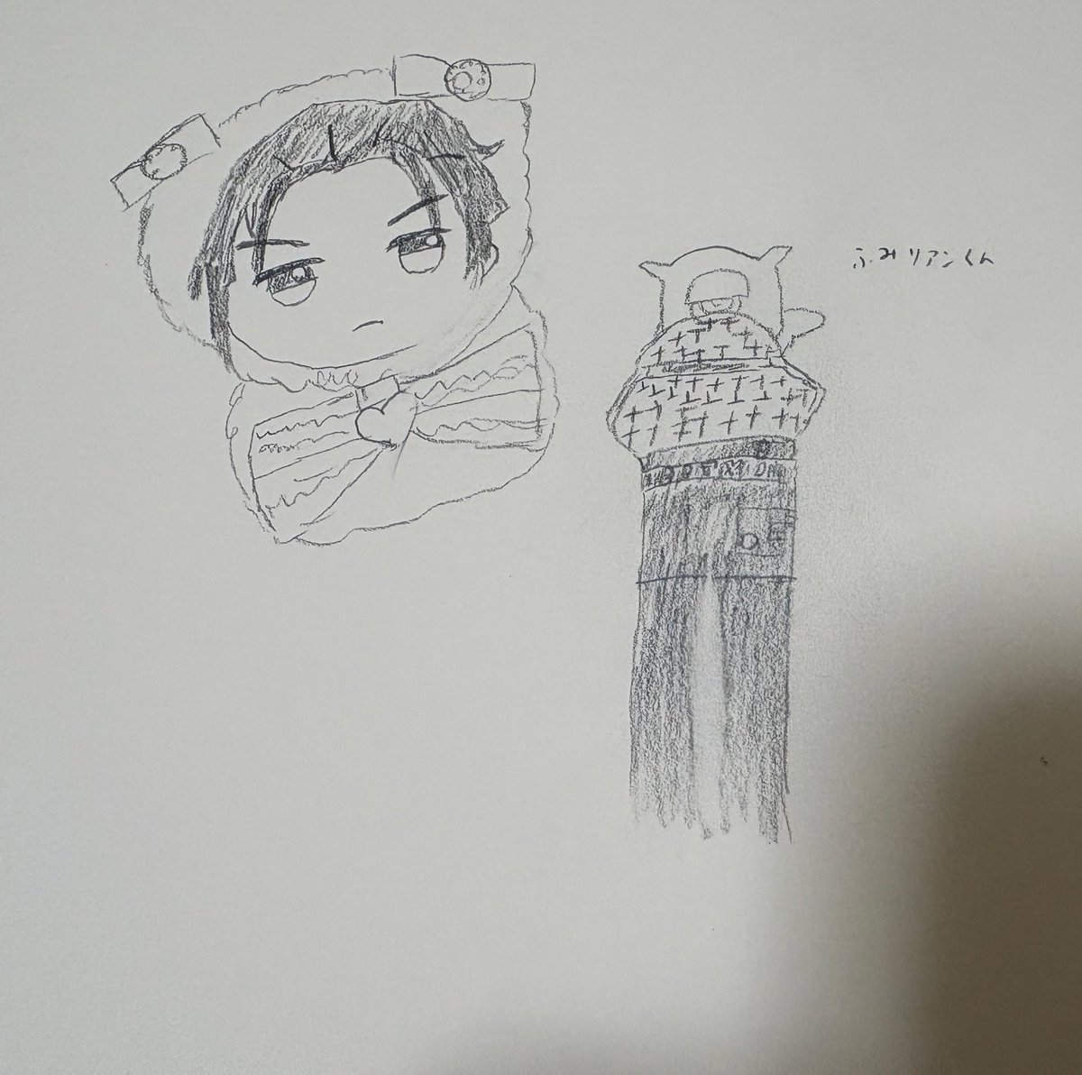 旅するせいじゃぬい tweet media