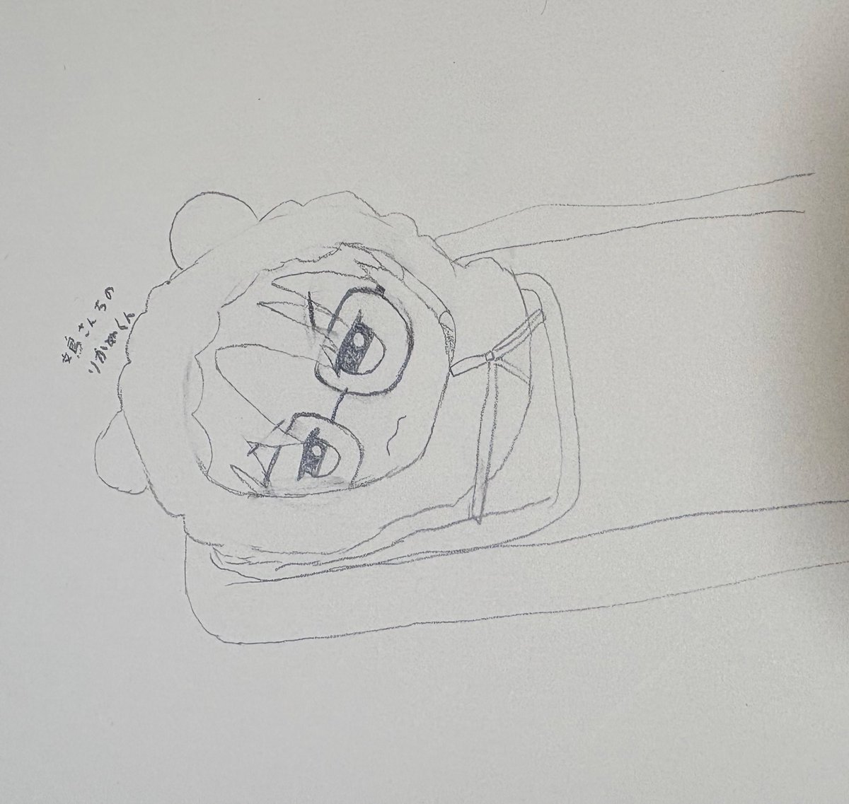 旅するせいじゃぬい tweet media