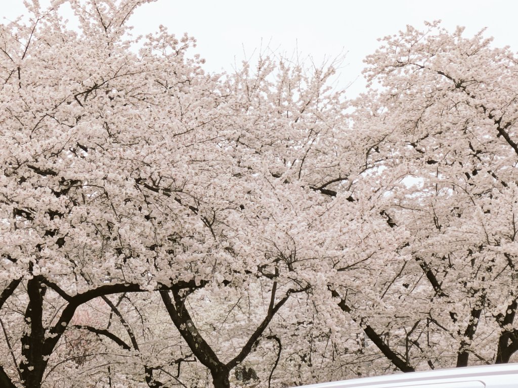 忍﨑♑ tweet media