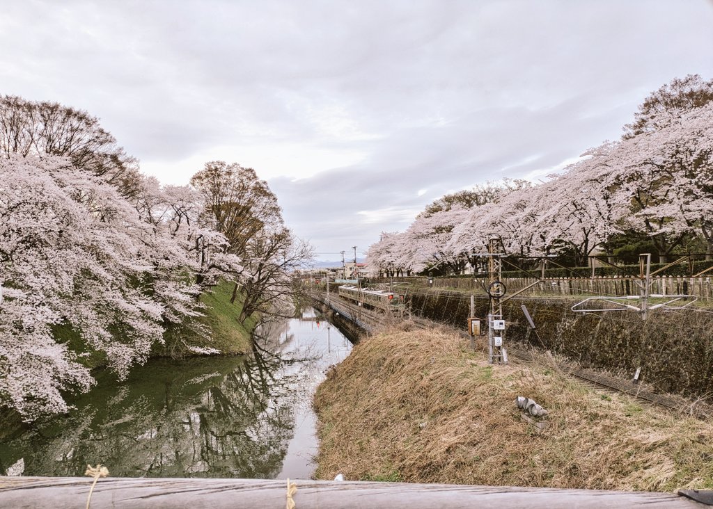 忍﨑♑ tweet media