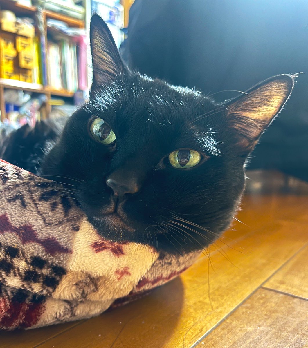 まりブー tweet media