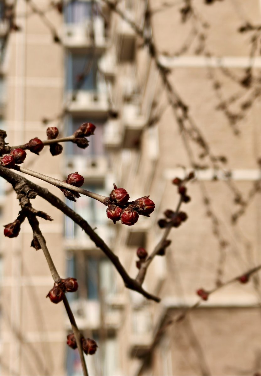 Encarnación tweet media