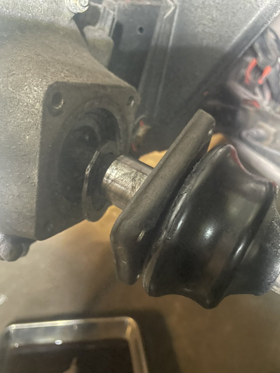 apeland_jp tweet media