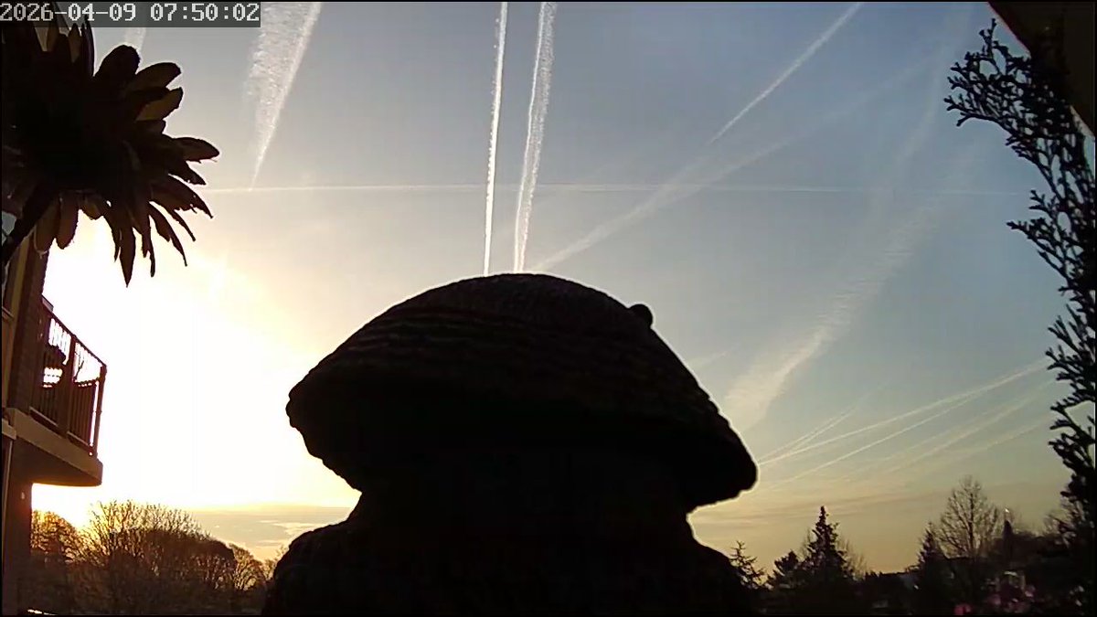 Chemtrails 
Zoetermeer 9-4-2026
