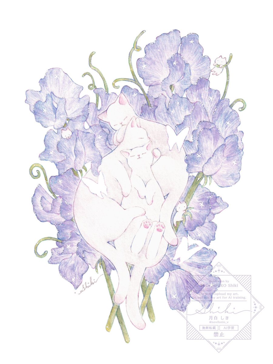 月白しき^..^ tweet media