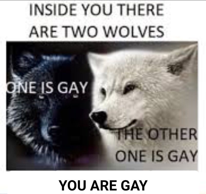 Return to Reason tweet media