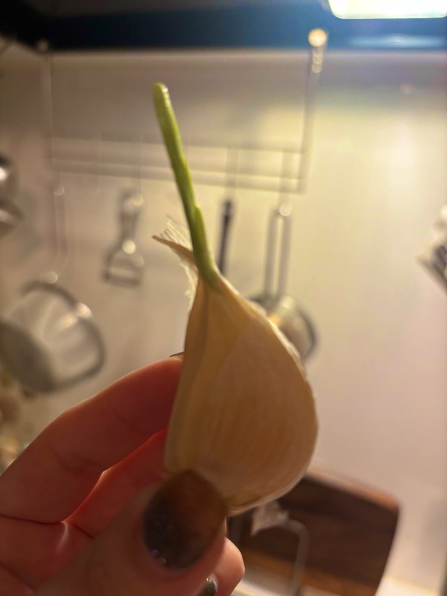 pasta8spaghetti's tweet photo. 興奮したみたい😮‍💨 https://t.co/UdQ6m4uYeI
