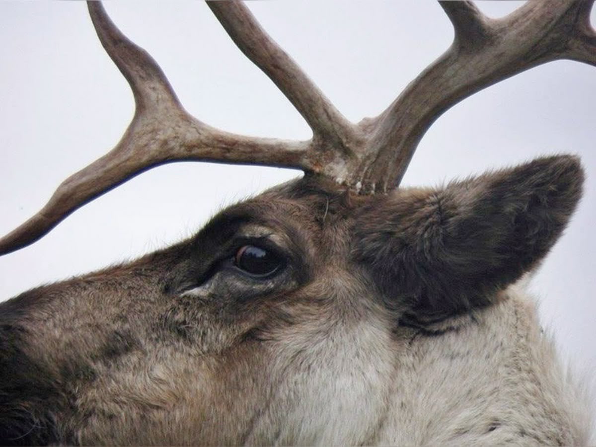 𓏲ּ𝄢 tweet media