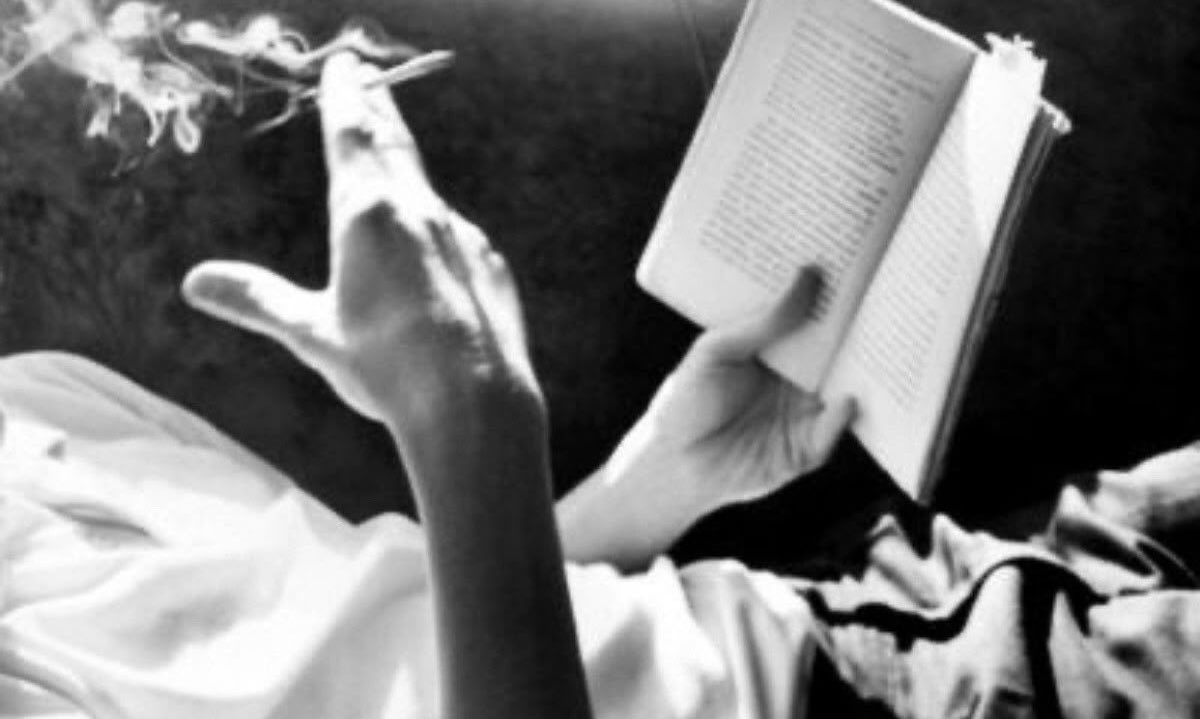 𓏲ּ𝄢 tweet media