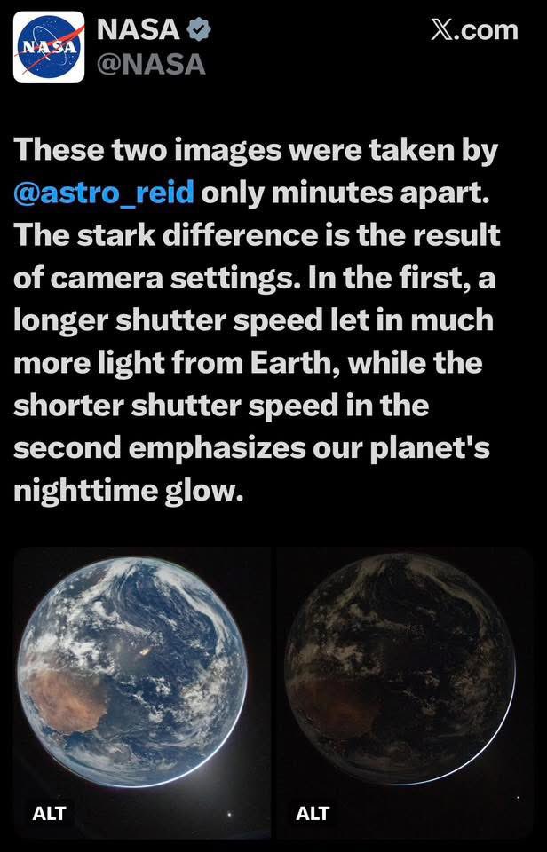 PlaceholderHuman123 (Formerly Richard) tweet media