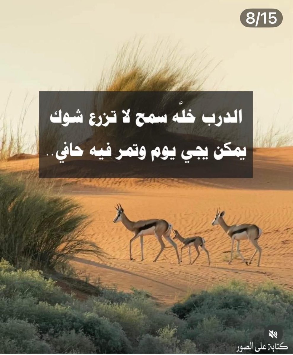 عبدالمحسن بن صالح الراجحي tweet media