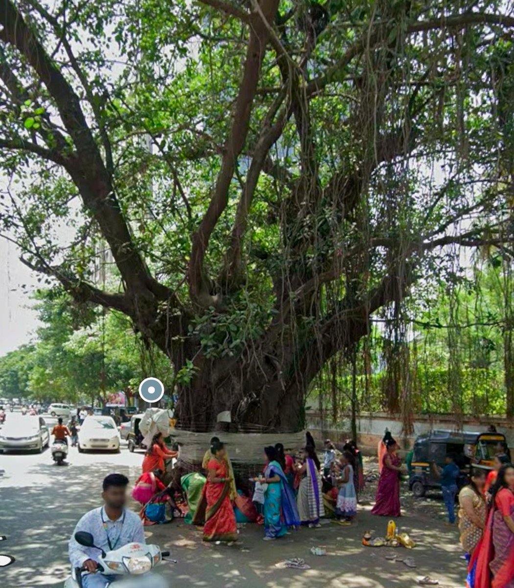 Tribal Army tweet media