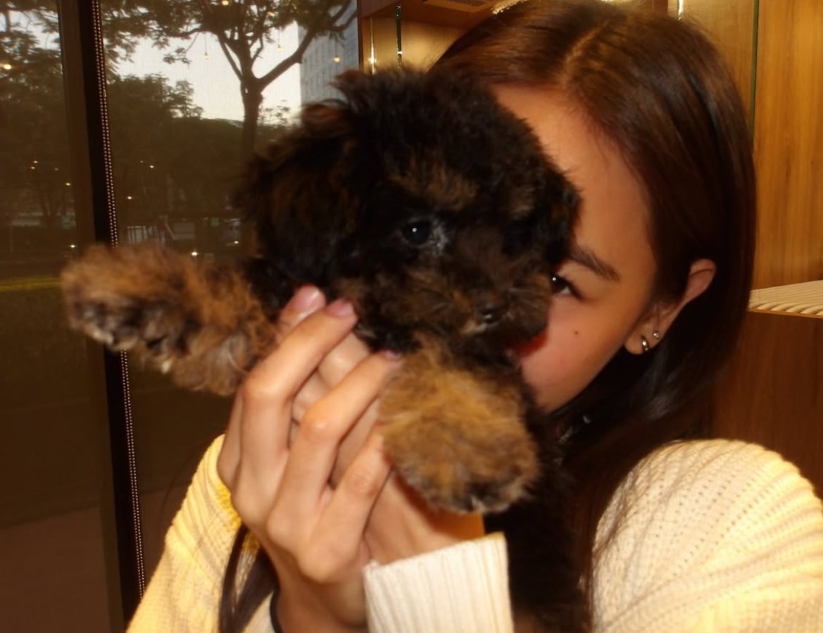 𝑒𝓁𝓁𝑒 ᥫ᭡. tweet media