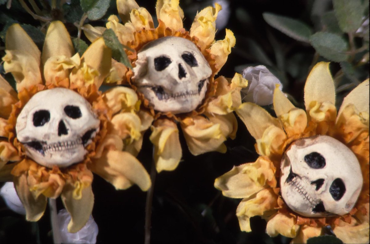 ゆいちむと映画 tweet media