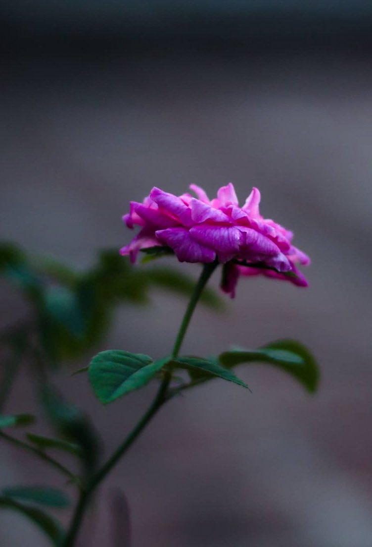 ❣️ pradhi tweet media