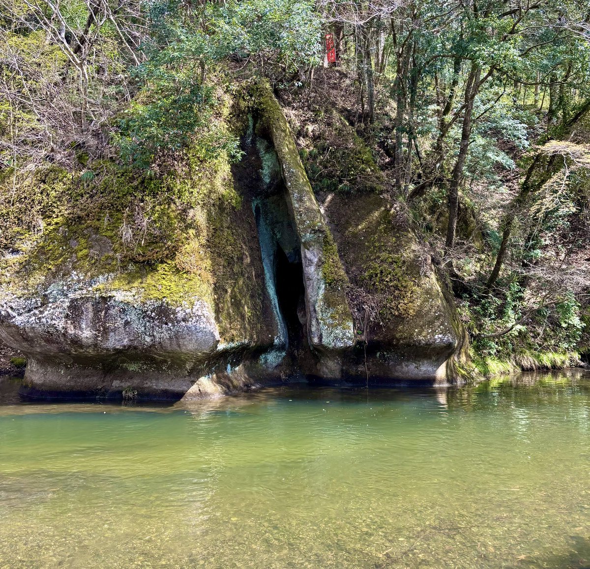 タカイワ マサ | 那須移住 tweet media