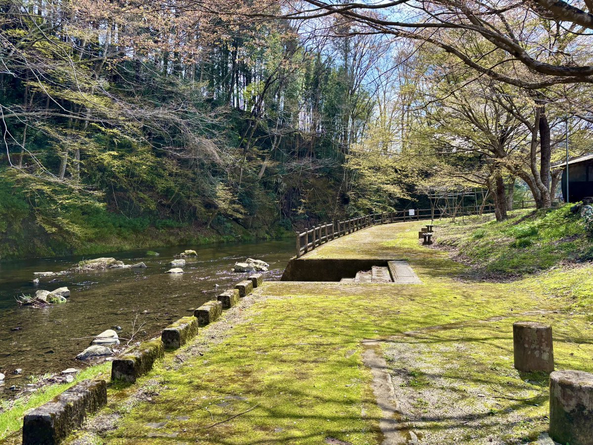 タカイワ マサ | 那須移住 tweet media